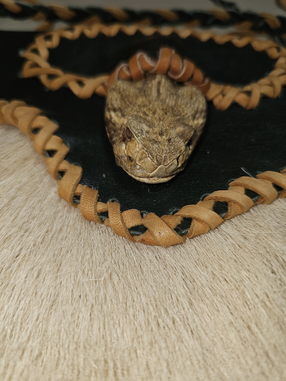 Rattlesnake Purse with Leather Braided Trim - Tan & Black - Picture 17 of 17